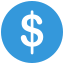 coin icon