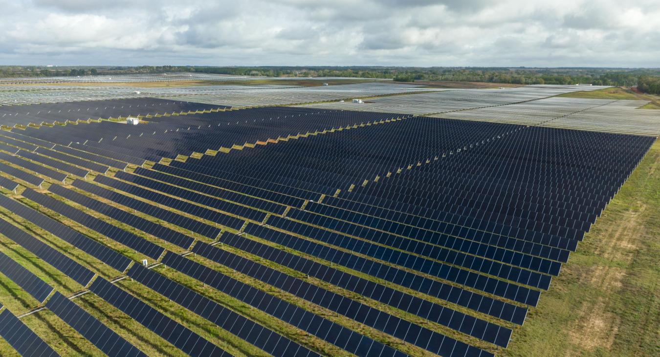 Solar Field